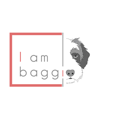 Equipos de hogar: Calefones, cocinas a gas, extractores de grasa de cocina, termotanques a gas, calefactores a gas